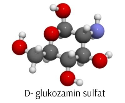 GLUKOZAMIN ima v telesu za&scaron;čitno vlogo, saj prepreči obrabo in spodbudi proizvodnjo hrustanca ter poveča gibljivost sklepov. 